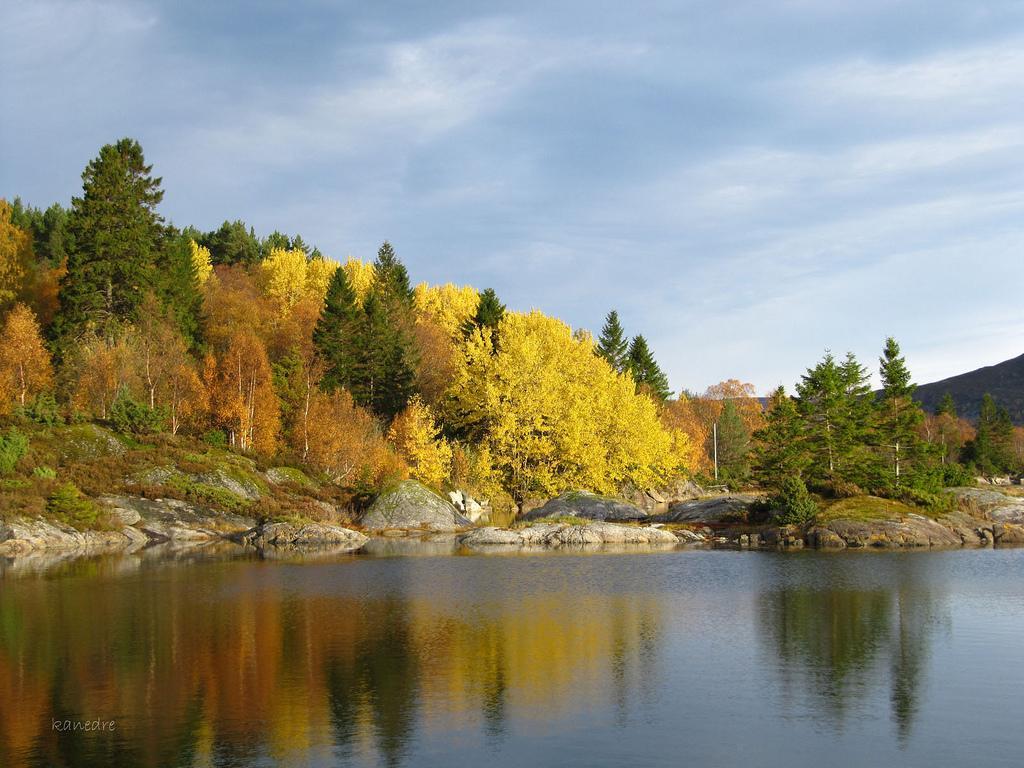 Skomakergarden Ulsteinvik Exteriör bild